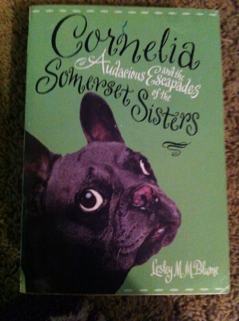 Cornelia And The Audacious Escapades Of The Somerset Sisters - Lesley M. M. Blume (Scholastic Inc) book collectible [Barcode 9780545078702] - Main Image 1