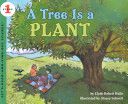 A Tree Is A Plant