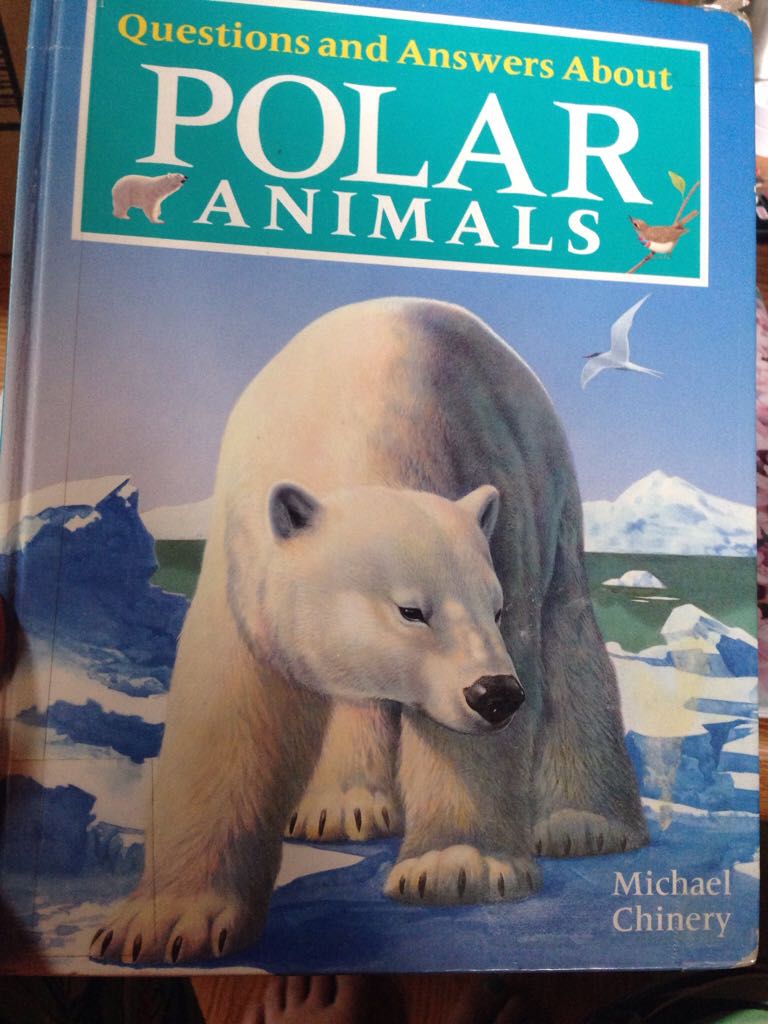 Polar Animals