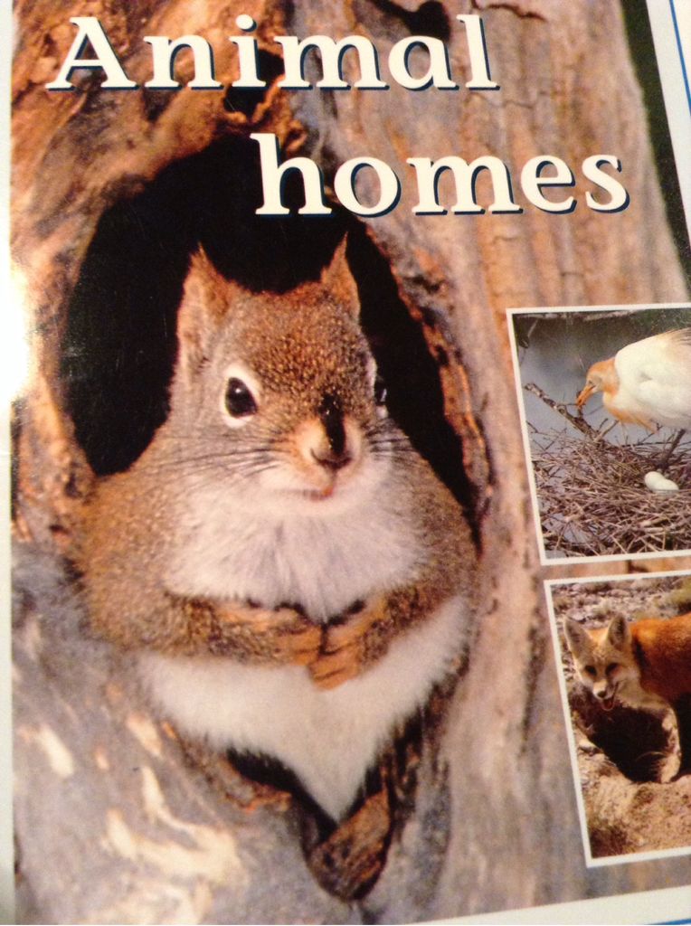 Animal Homes