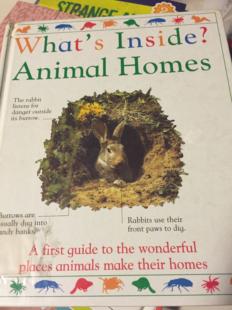 Animal Homes - Angela Wilkes (Dk Pub) book collectible [Barcode 9781564582188] - Main Image 1