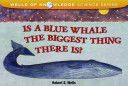 Is A Blue Whale The Biggest Thing There Is?