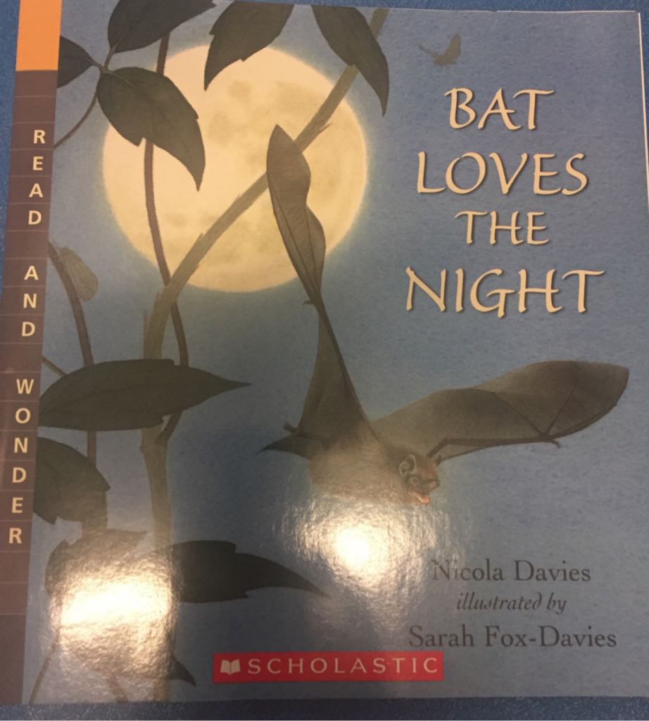 Bat Loves The Night - Nicola Davies book collectible [Barcode 9780545548458] - Main Image 1