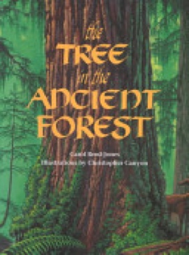 The Tree In The Ancient Forest