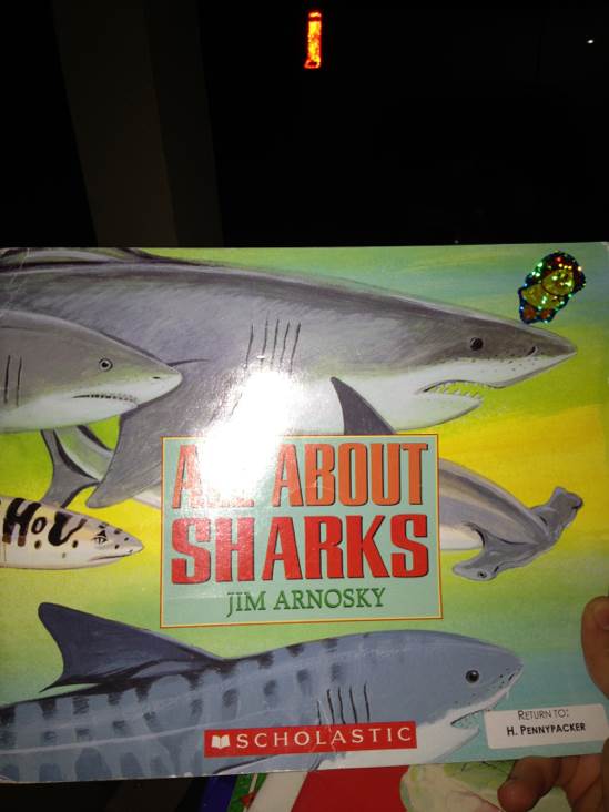 All About Sharks