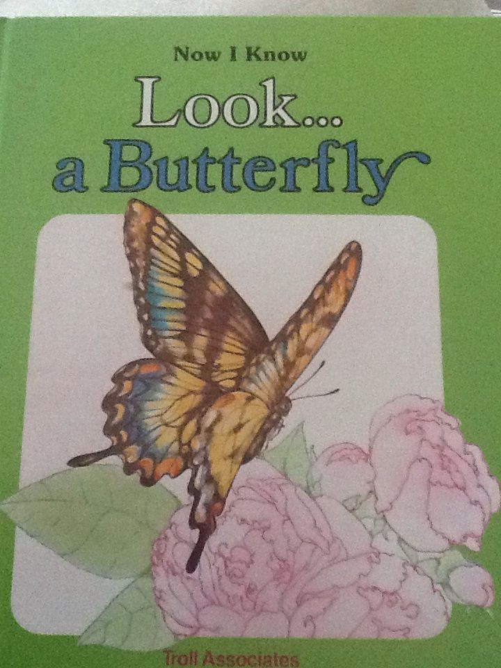 Look--a Butterfly