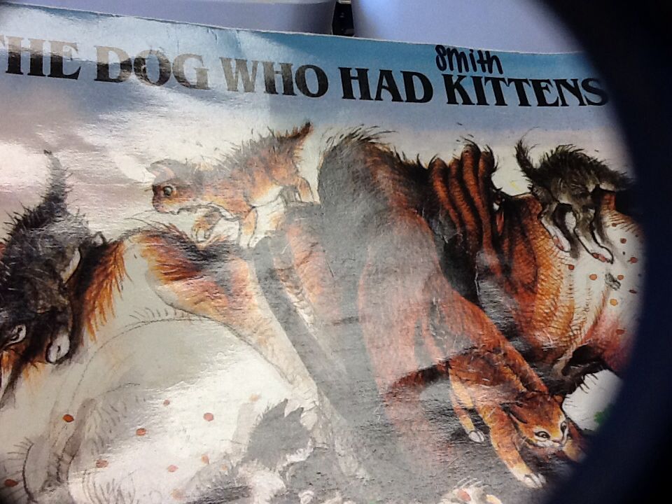 Dog Who Had Kittens, The