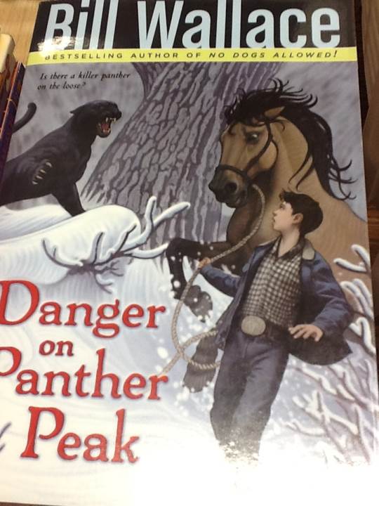 Danger On Panther Peek