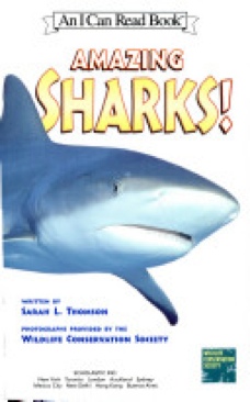 Amazing Sharks! - Sarah L. Thomson (- Paperback) book collectible [Barcode 9780439866675] - Main Image 1
