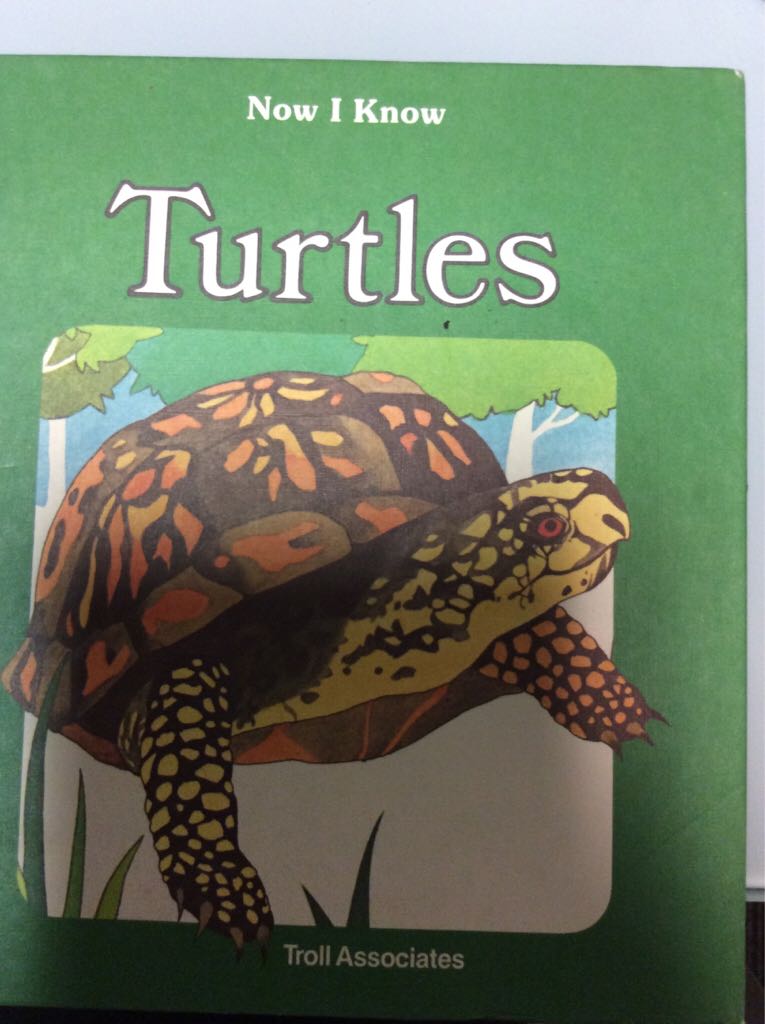 Turtles