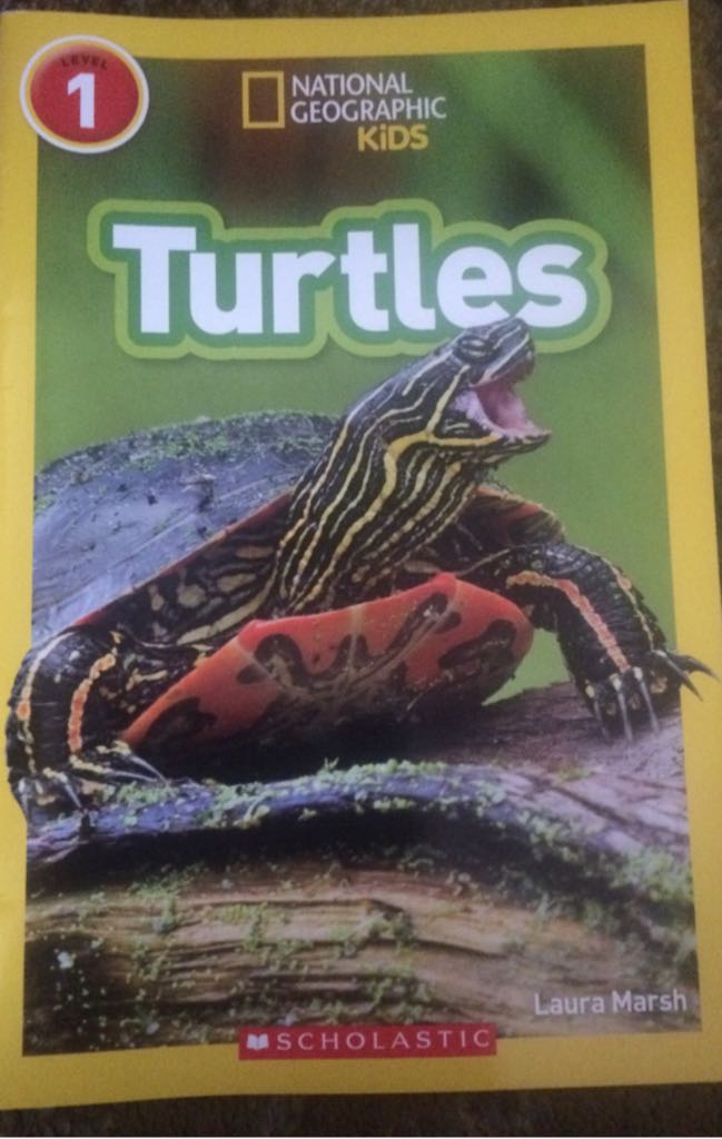 Turtles