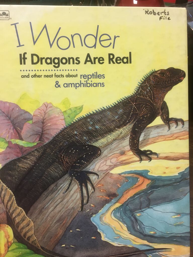 Reptiles And Amphibians