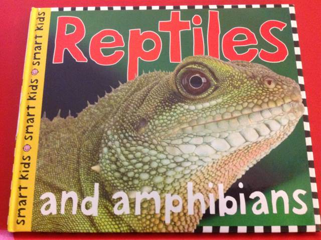 Reptiles And Amphibians