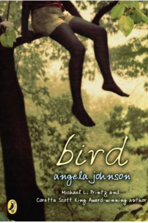 Bird - Angela Johnson (Puffin) book collectible [Barcode 9780142405444] - Main Image 1