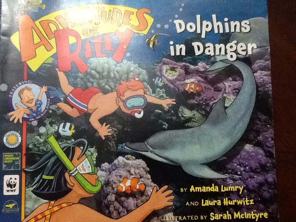 Dolphins In Danger