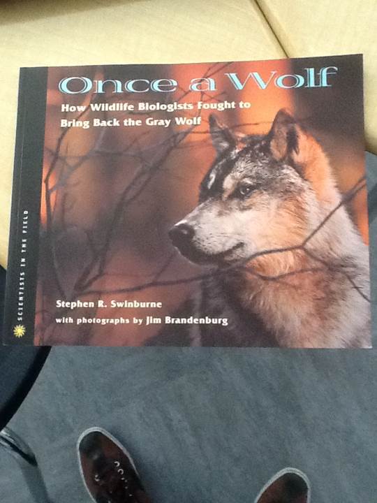 Once A Wolf
