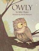 Owly