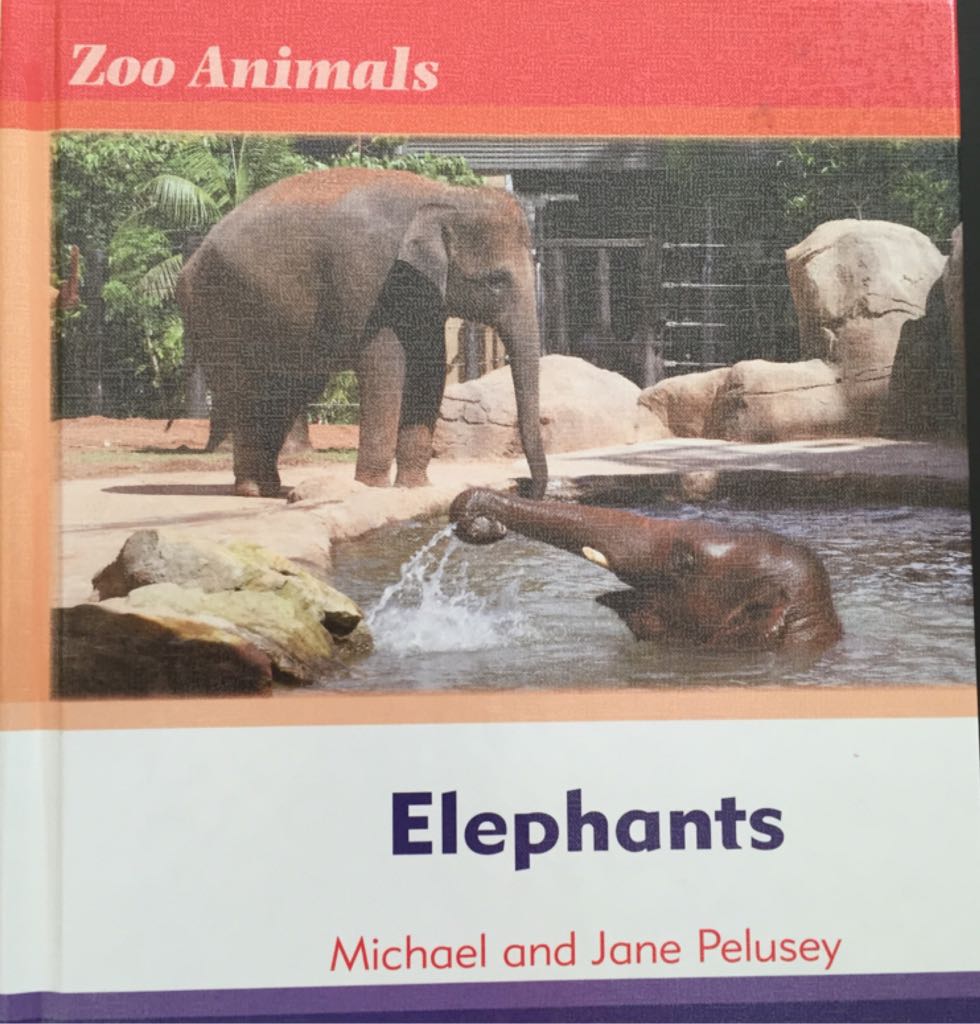 Elephants