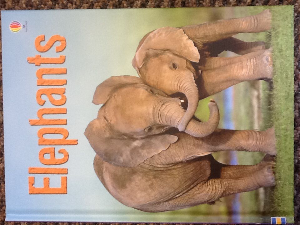Elephants - Robbie Byerly (Usborne Pub Limited) book collectible [Barcode 9780794531225] - Main Image 1