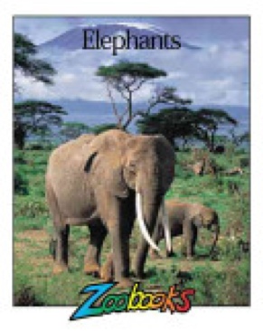 Elephants - Melissa Stewart (Zoobooks/Wildlife Education - Paperback) book collectible [Barcode 9780937934005] - Main Image 1
