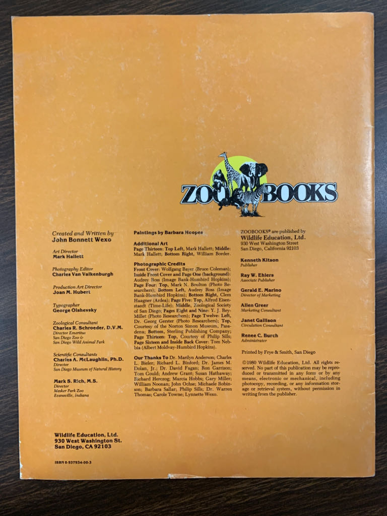 Elephants - Melissa Stewart (Zoobooks/Wildlife Education - Paperback) book collectible [Barcode 9780937934005] - Main Image 2