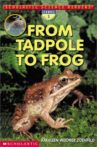From Tadpole to Frog