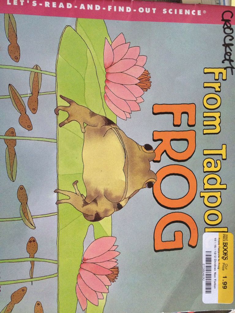 From Tadpole To Frog - Pfeffer Wendy book collectible [Barcode 9780439454650] - Main Image 1