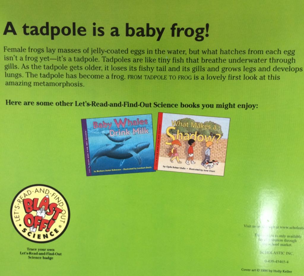 From Tadpole To Frog - Pfeffer Wendy book collectible [Barcode 9780439454650] - Main Image 2