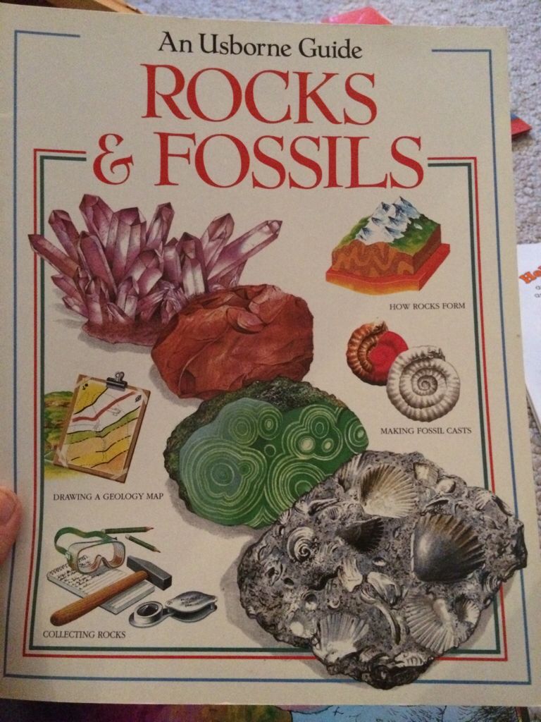 Rocks And Fossils