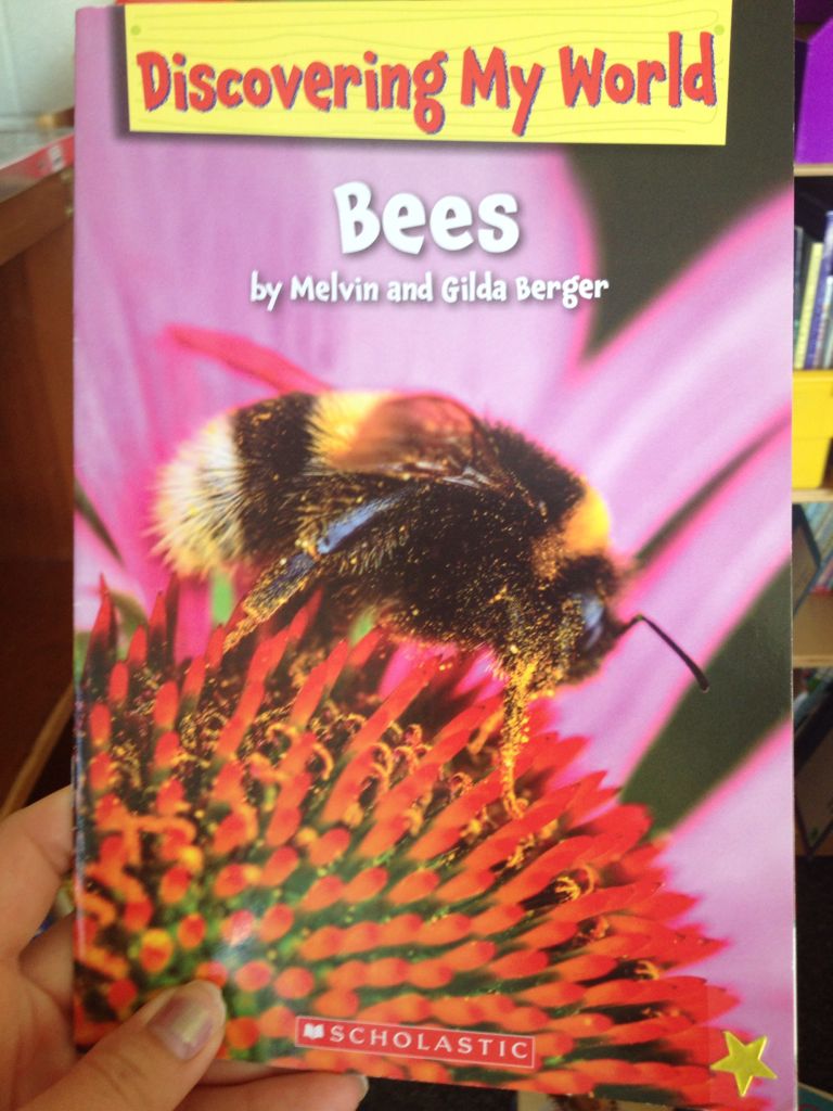 Bees