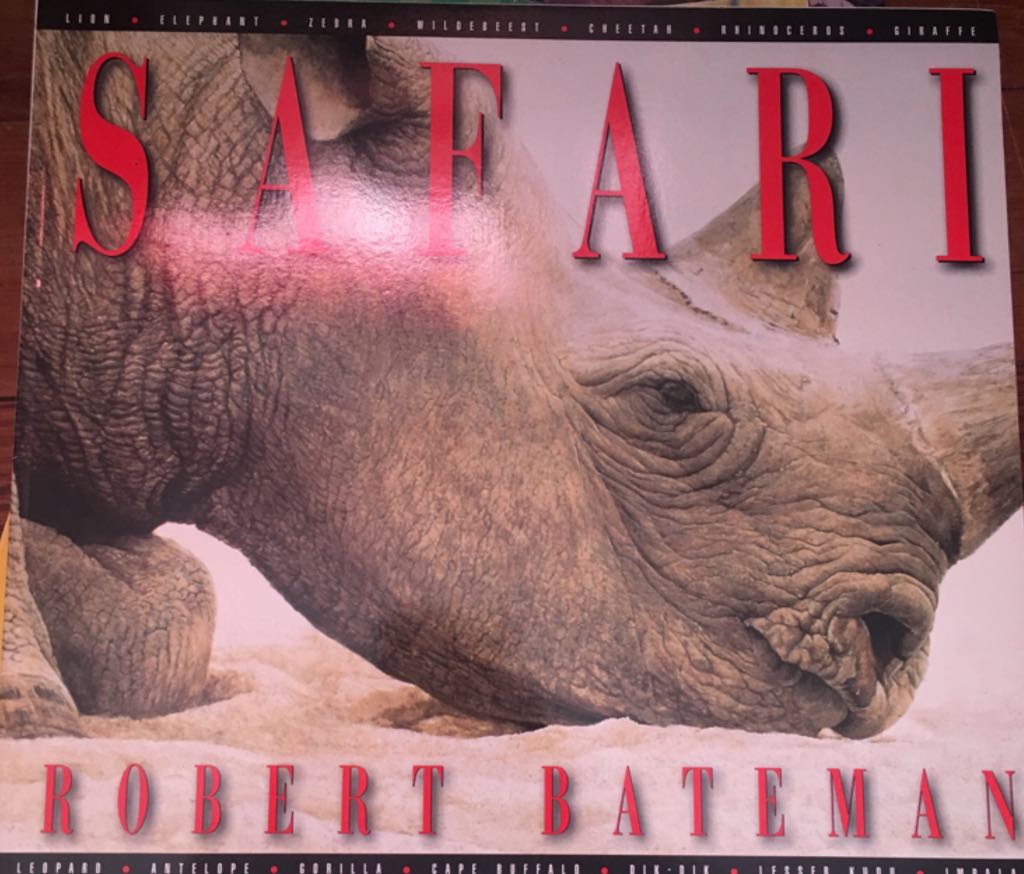 Safari