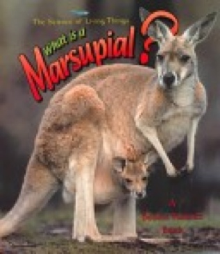 What Is A Marsupial?