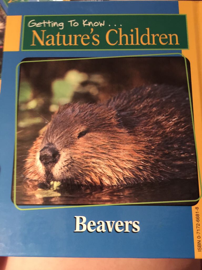 Chipmunks And Beavers - merebeth switzer book collectible [Barcode 9780717266814] - Main Image 2