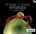 Outside And Inside Spiders
