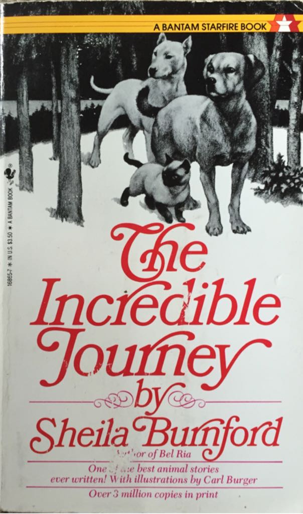 The Incredible Journey