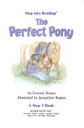 The Perfect Pony