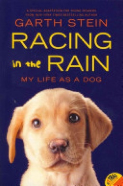 Racing In The Rain - Garth Stein (Harpercollins Childrens Books - Trade Paperback) book collectible [Barcode 9780062015761] - Main Image 1