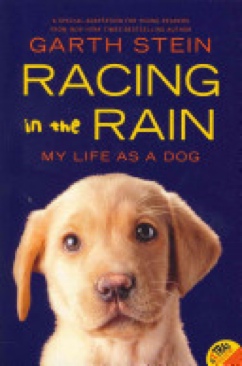 Racing In The Rain
