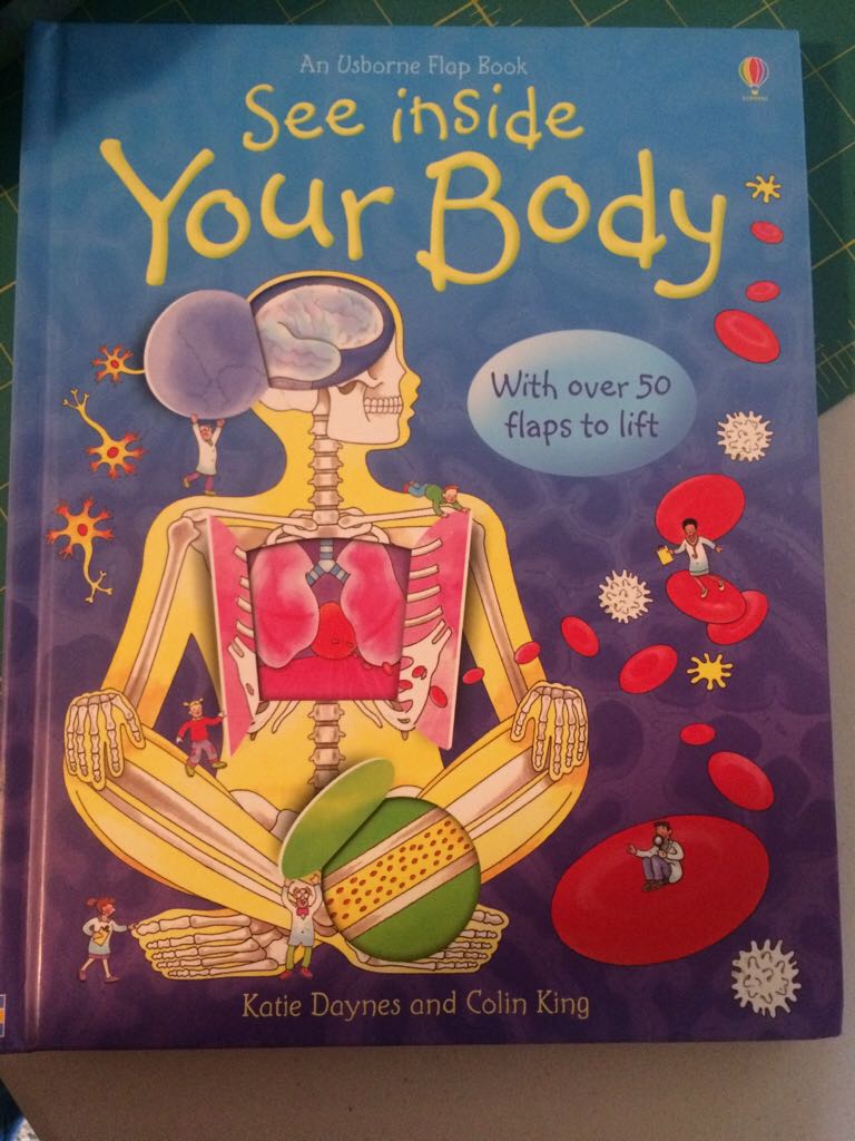 See Inside Your Body - Katie Daynes (EDC Publishing / Usborne) book collectible [Barcode 9780794520458] - Main Image 1