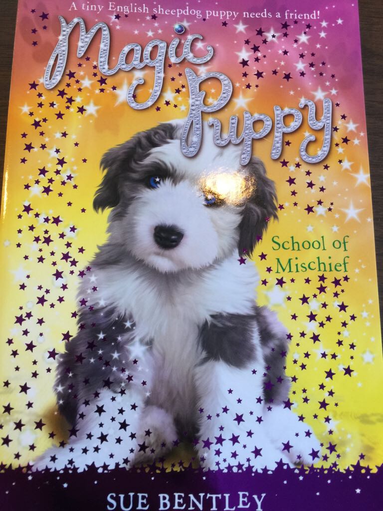 Magic Puppy School Of Mischief