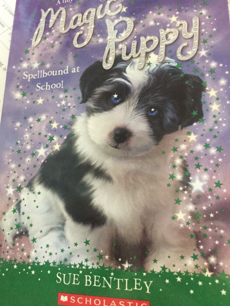 Magic Puppy Spellbound At School