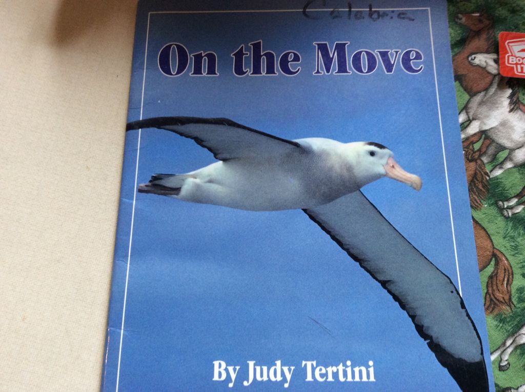 On The Move