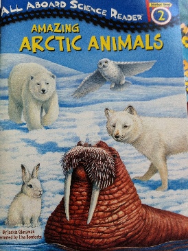 Amazing Arctic Animals