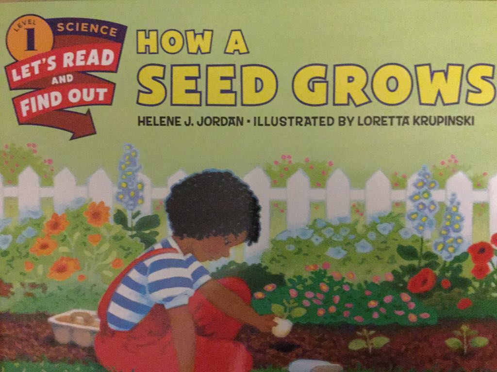Let’s Read And Find Out Science Level 1 How A Seed Grows - Loretta Krupinski (HarperCollins Children’s Books - Paperback) book collectible [Barcode 9780062381880] - Main Image 1