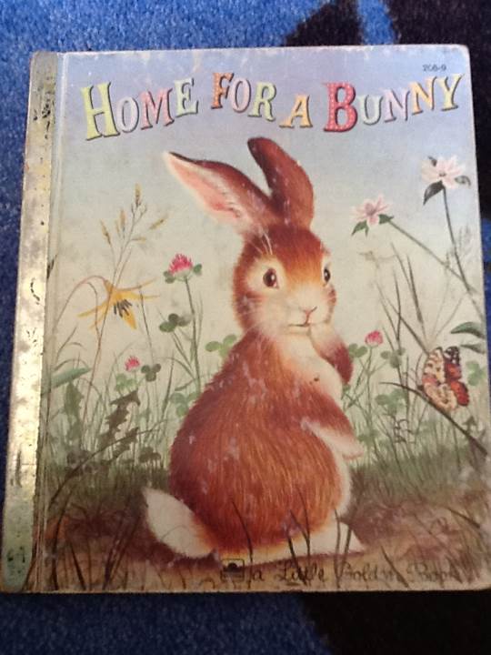 Home For A Bunny