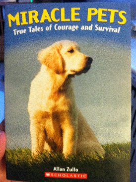 Miracle Pets True Tales Of Courage And Survival - Allan Zullo (Scholastic Inc - Paperback) book collectible [Barcode 9780545255073] - Main Image 1