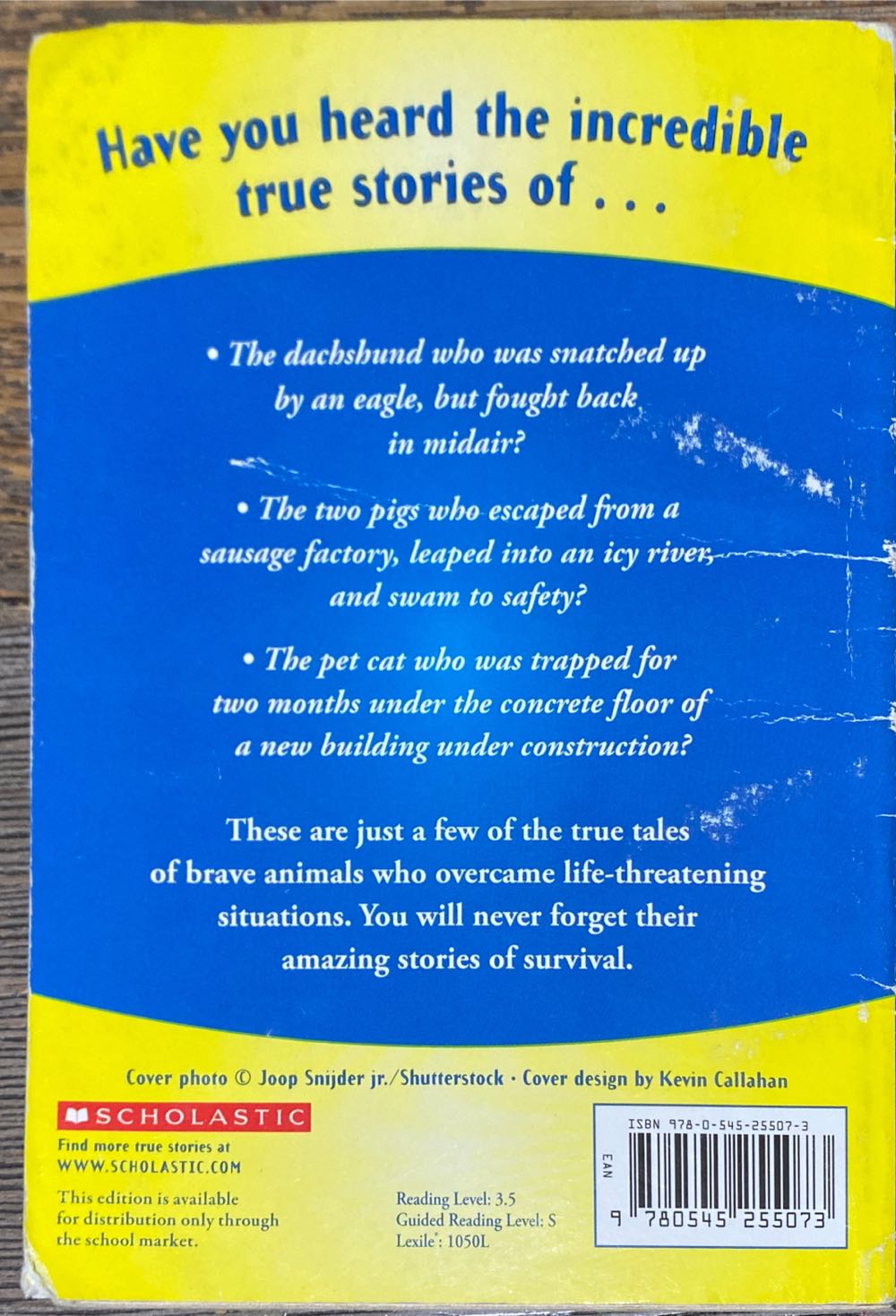 Miracle Pets True Tales Of Courage And Survival - Allan Zullo (Scholastic Inc - Paperback) book collectible [Barcode 9780545255073] - Main Image 2