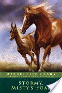 STORMY, MISTY’S FOAL