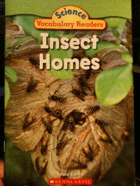 Insect Homes