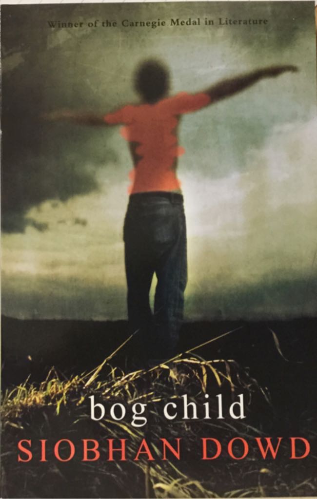 Bog Child - Siobahn Dowd (David Fickling Books - Paperback) book collectible [Barcode 9780375841354] - Main Image 1